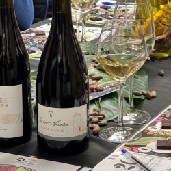 bouteille de vin , verres, set de table de dégustation avec des carrés de chocolat