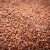 Grué de Cacao