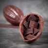 copy of La Cabosse Cacaotée - Chocolat Noir