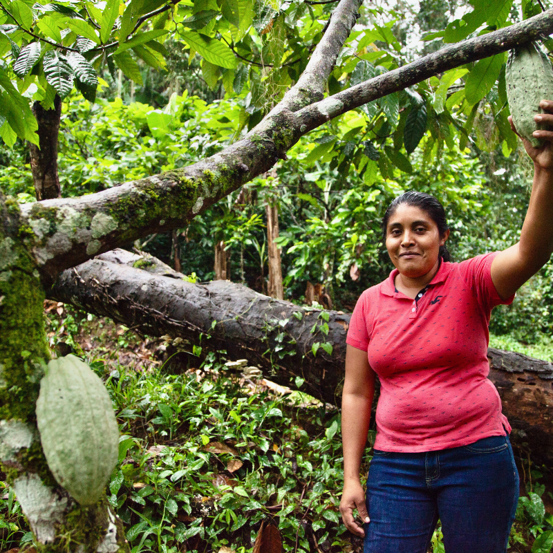 productrice dues fèves de cacao Kubaly dans sa plantation